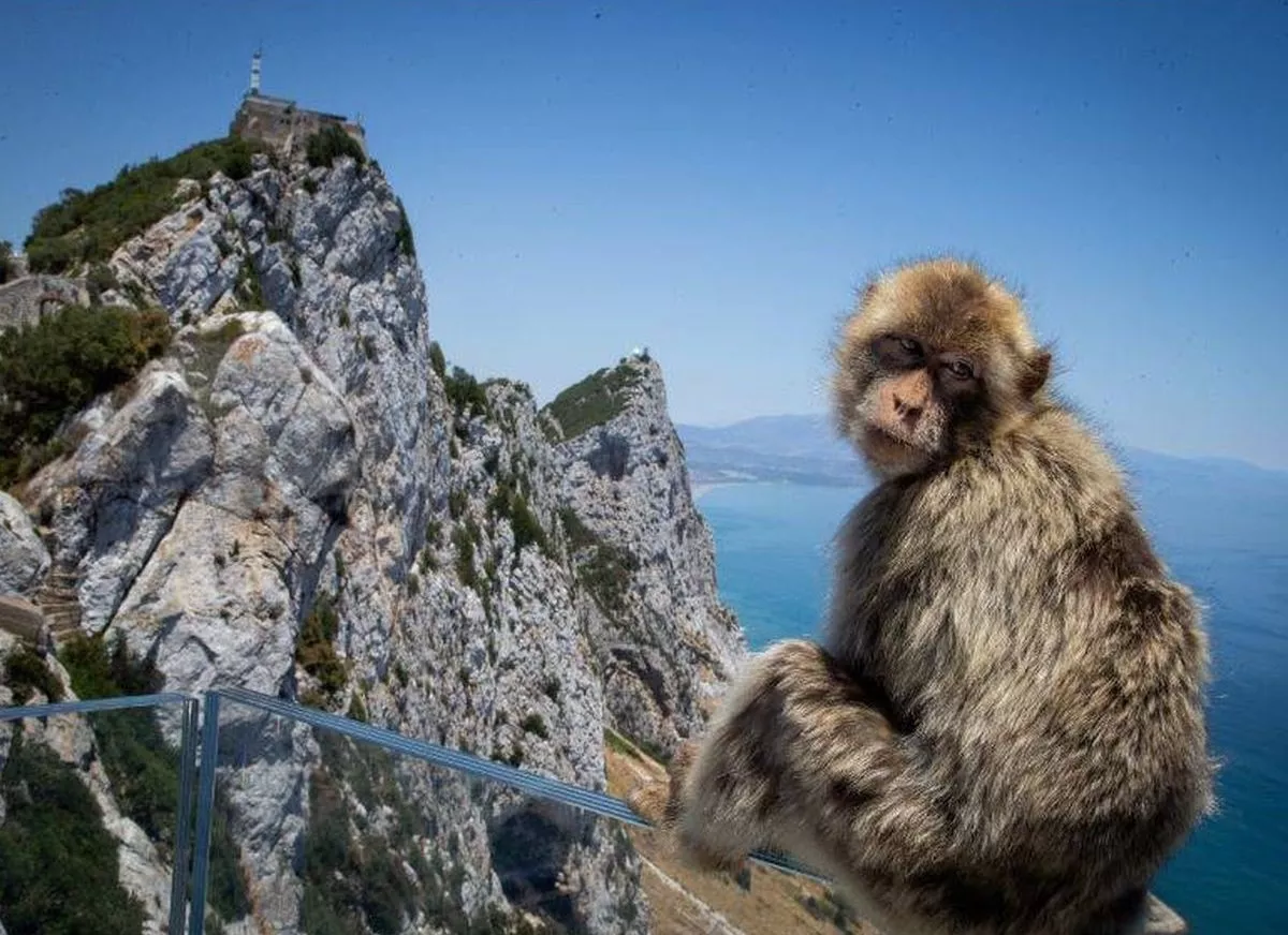 What to see in Gibraltar: Tourist Guide
